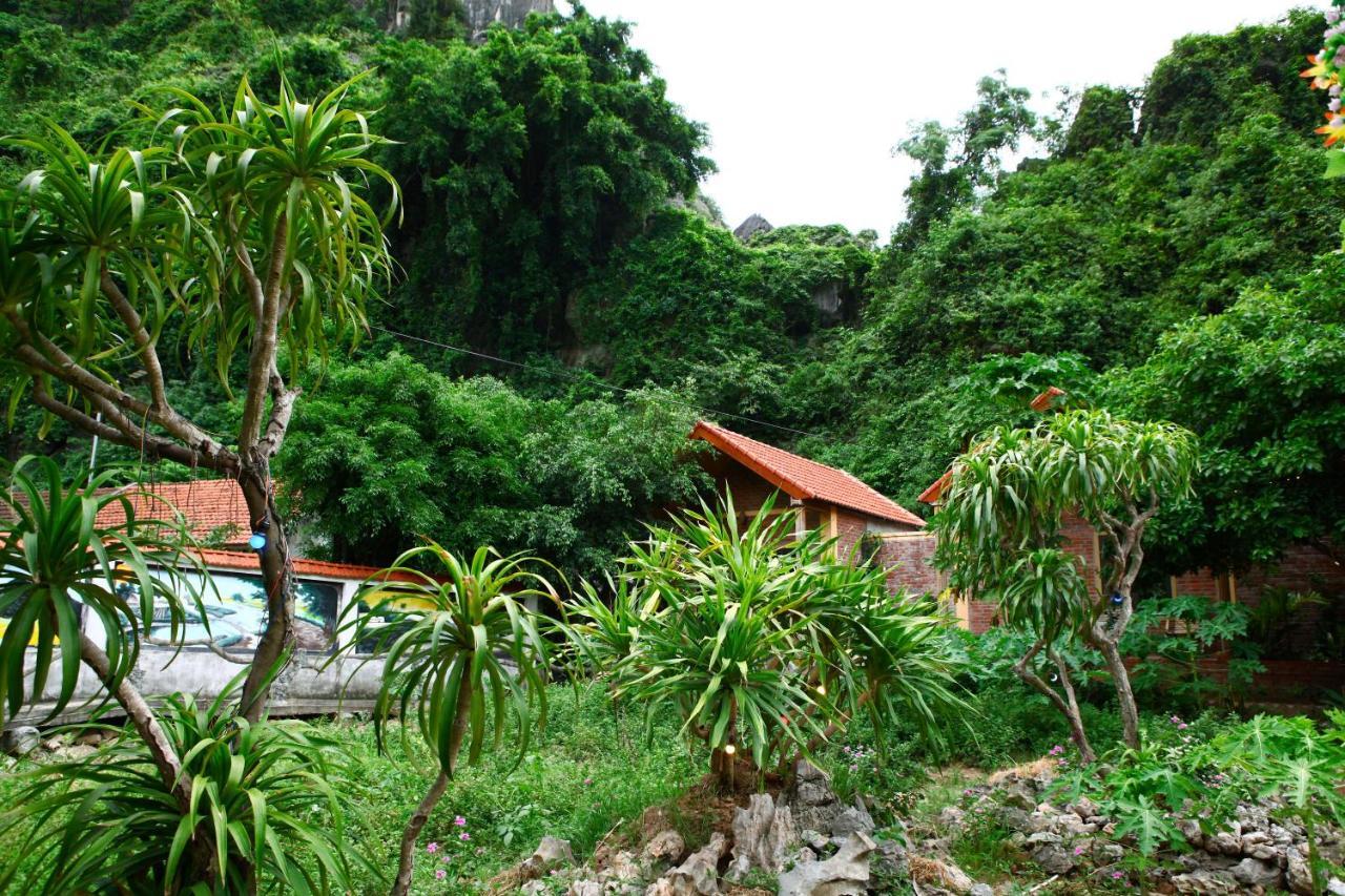 Tam Coc Valley Homestay Ninh Binh Buitenkant foto